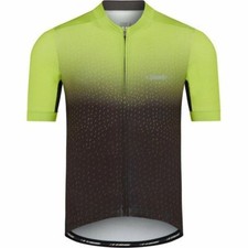 Madison Sportive Men's Short