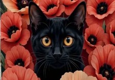 2 x double sided black cat and red poppy print cushion covers 35 x 50cms