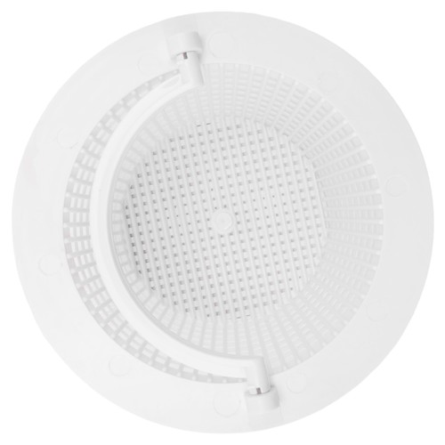 Wall skimmer basket - skimmer, with
