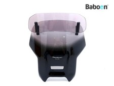 Windshield / Screen Kawasaki