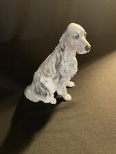 Border Fine Arts English Setter ??