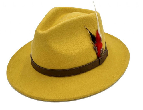 New wide sunshade felt - wide, fedora