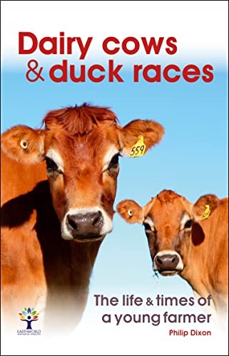 Dairy cows duck - &,