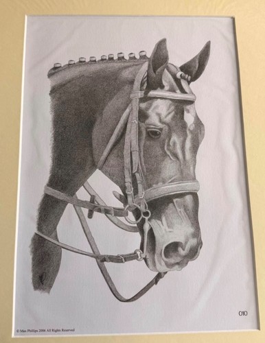 Max phillips cossack horse - phillips,
