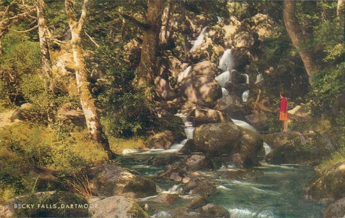 Dartmoor becky falls salmon - j,