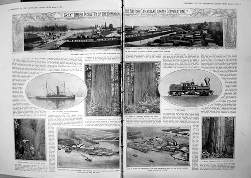 Old british canadian lumber - old,