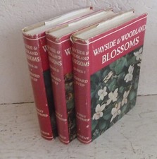 Vintage Book Set Wayside &