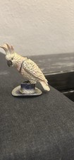 Parrot bird stand - parrot,