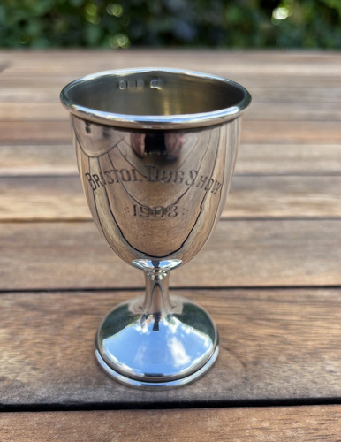 Small silver trophy cup - silver,