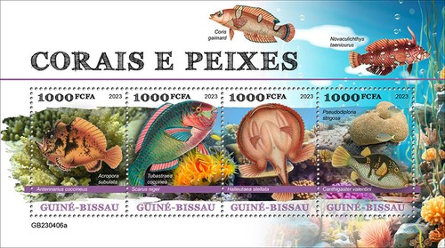Corals fishes - corals,