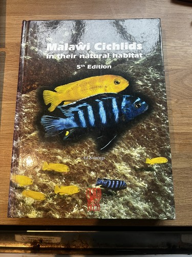 Malawi cichlids their - malawi, in