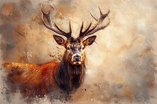 Stag Deer Canvas Picture Print Wall Art