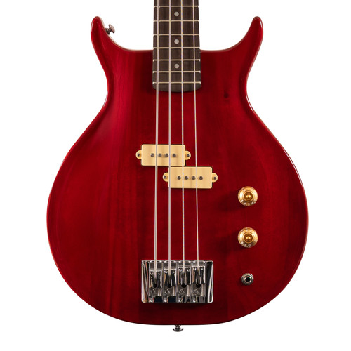 Washburn scavenger string - scavenger, 4-string