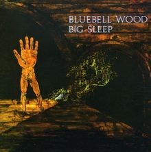 Bluebell wood von big sleep - big,