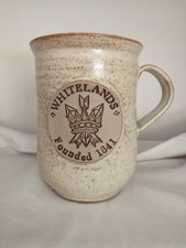 Vintage Mushroom Pottery Sutton Hull Commemorative Mug | Whiteland's College 