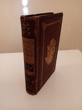 Haunts of the Wild Flowers by Anne Pratt Besutiful Illustrations