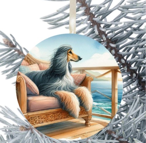 Afghan hound dog hanging - afghan,