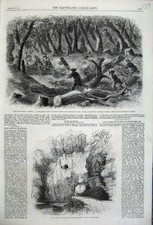 Old Antique Print 1861 Caves