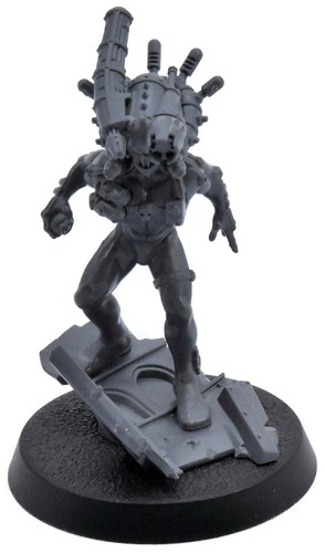Imperial agents culexus - imperial,