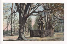 Hatfield - Elizabeth's Oak, removed 1978 - early Hertfordshire postcard