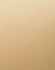 Jewellery Stud Earring Display