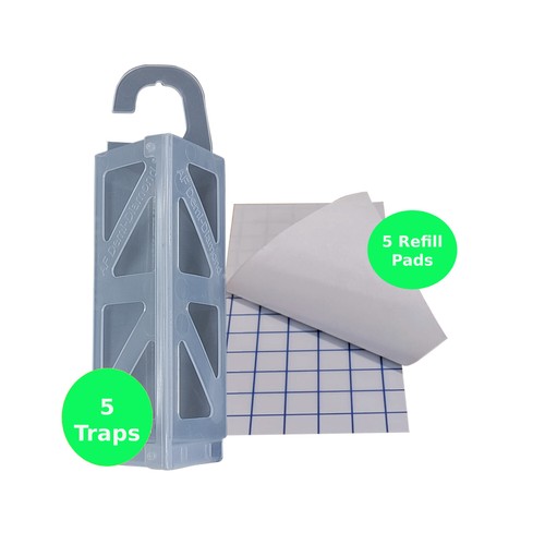 Clothes pheromone moth - clothes,
