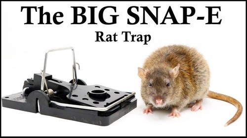Big snap rat size easy - easy, set