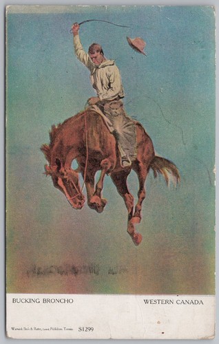 Bucking bronco western - bucking,