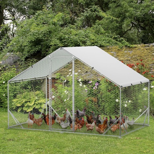 Large metal chicken - chicken, run