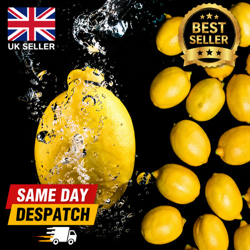 10pcs limes lemon lifelike - 6/10pcs,