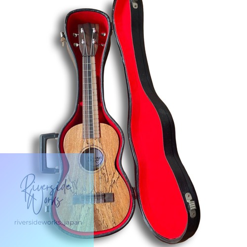 Ukulele concert susing - ukulele, susing’s