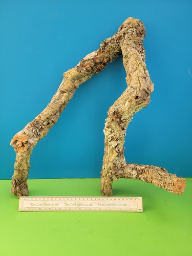 Cork bark branch 47cm snake - 47cm,