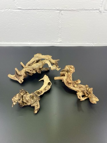 Piece reptile driftwood - driftwood, set