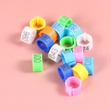 100 Count Plastic Pigeon Rings