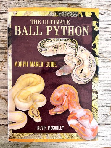The ultimate ball python morph - python,