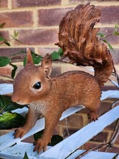 Ultra Realistic squirrel