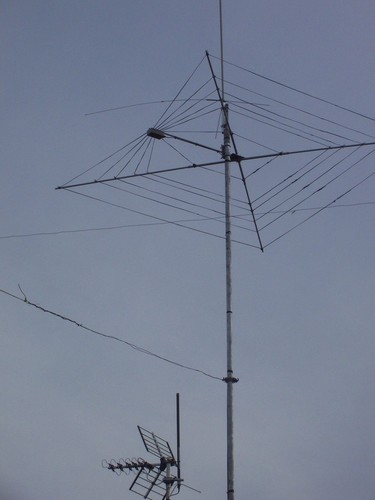Cobweb antenna 7 band - 1,