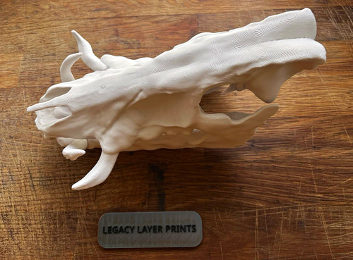Scaled down wild - , skull