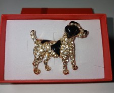 Beautiful Diamante Terrier Dog