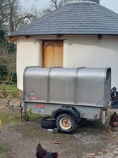 Ifor Williams Livestock