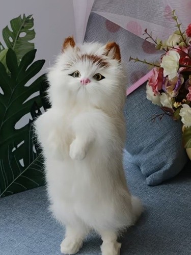 Standing fake taxidermy cat - taxidermy,