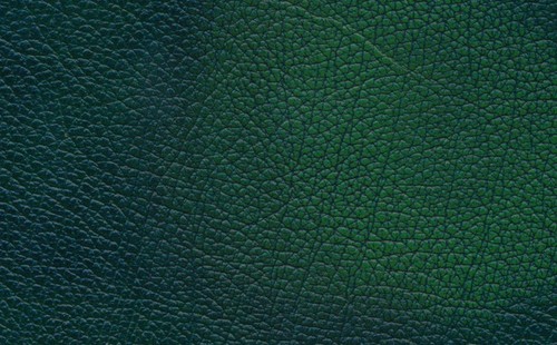 Sofa couch green seater - sofa,