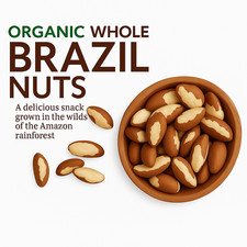 Best Organic Quality Whole Brazil Nuts, Dried Fruit