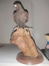 Falconry Harris Hawk Ornament