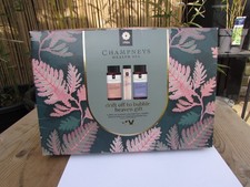 Champneys Drift Off To Bubble