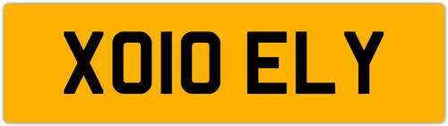 Ely ellie el - x,