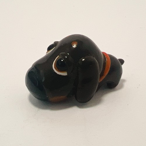 The dog dachshund mini - dachshund,