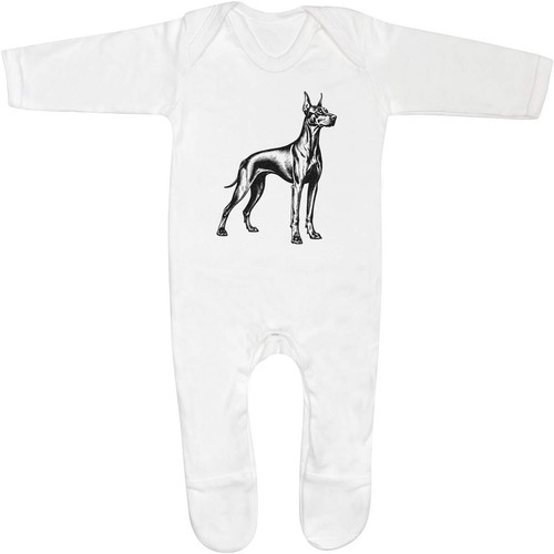 Doberman pinscher baby - 'doberman, pinscher'