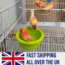 Multi-Function Caged Bird Bath