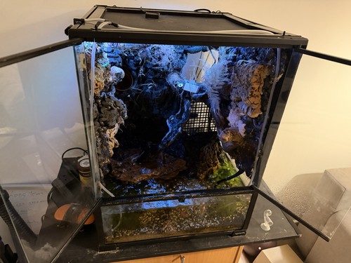 Full setup exo - exo, vivarium